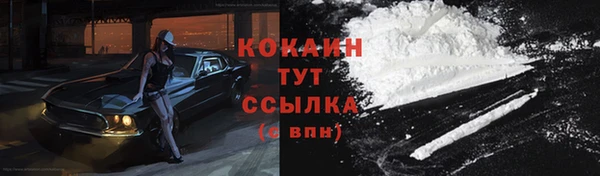 гидра Нея