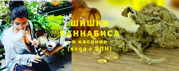 гидра Нея