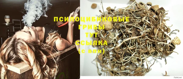 гидра Нея