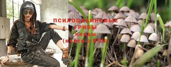 мескалин Нефтегорск