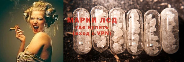 гидра Нея