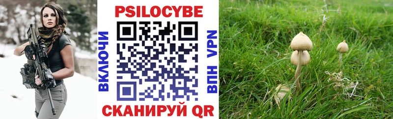 мега Алапаевск Галлюциногенные грибы Psilocybe что такое наркотик